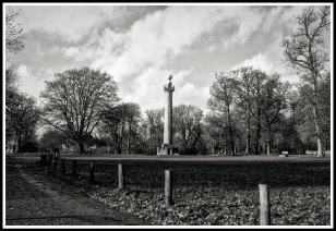 A black and white photo of a tower centred between trees with a fence along the front of the photo