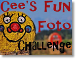 Cee s fun photo challenge logo