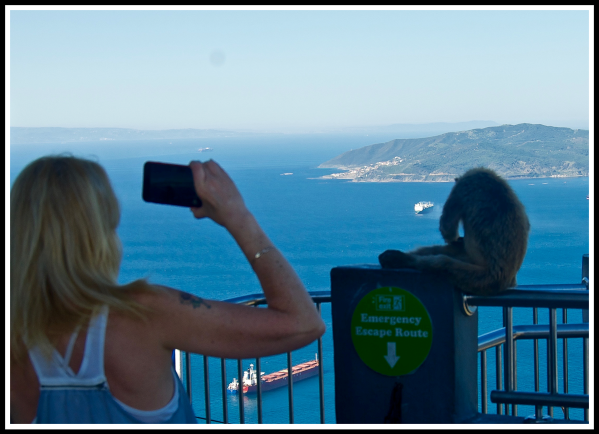 Sarah taking a video of one of the monkeys at the top of Gibraltar