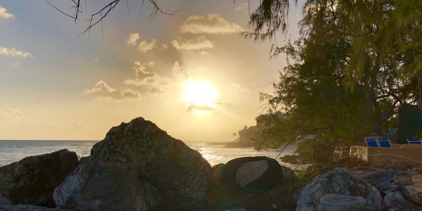 Beautiful Barbados sunset with dark rocks below the sun and trees to the right